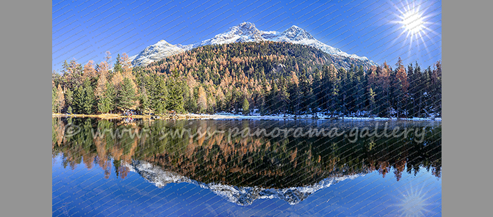 Reflektion Lej Nair Goldener Herbst im Oberengadin Silvaplana Schweizer Panorama Alpenpanorama
