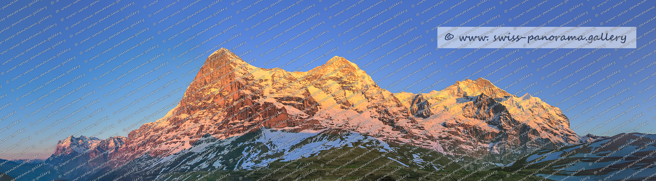 Kleine Scheidegg Sonnenuntergang Eiger Mönch Jungfrau Berner Alpenpanorama sunset Swiss Alps Schweizer Alpenpanorama