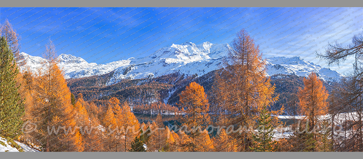 Silvaplanersee Altocumulus Wolken Reflektion Alpen Panorama Oberengadin