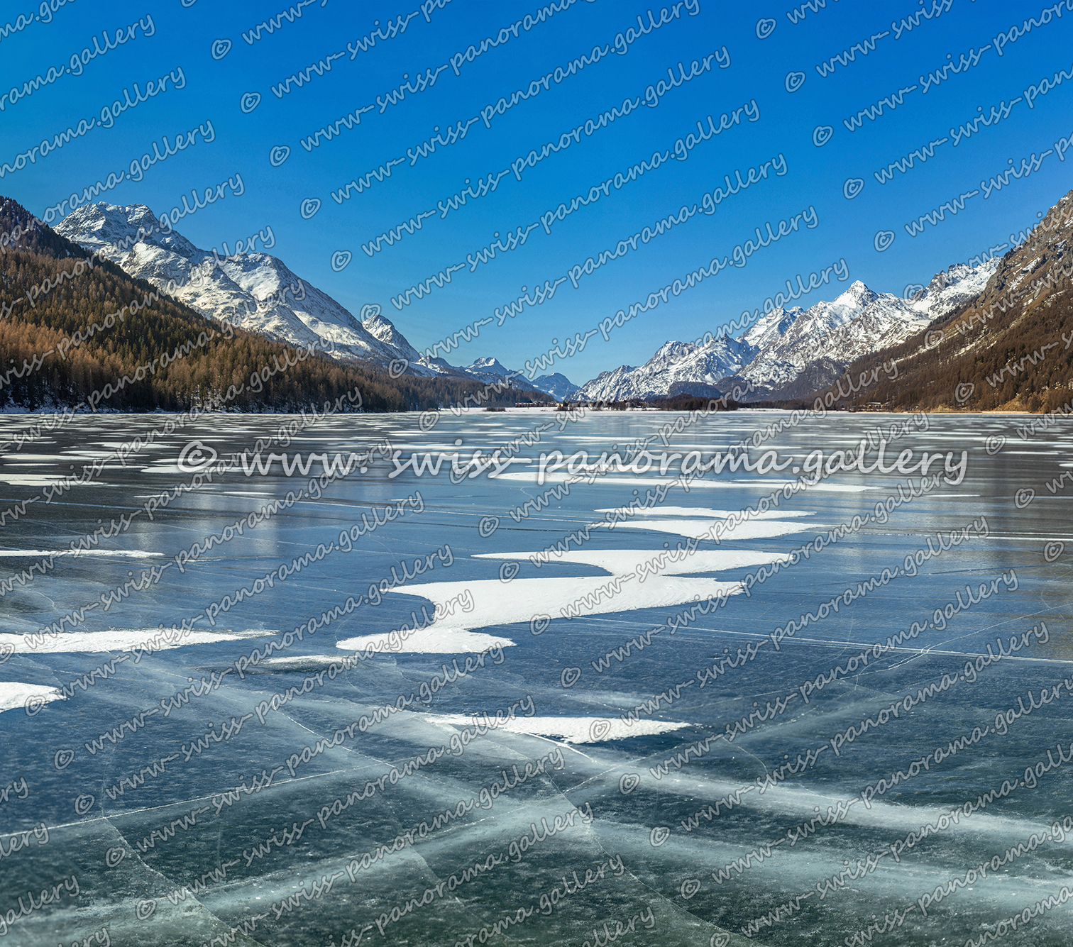 swiss panorama gallery Engadiner Seeen Silvaplanersee panorama Lake Silvaplana Upper Engiadina Lakes Area Piz Salacina 2'599 m (11 km), Piz Fedoz 3'190 m (11 km), Piz de la Margna 3'159 m (9 km), Furtschellas 2'932 m (4 km), Piz Corvatsch 3'458 m (5.5 km), Piz Mortel 3'442 m (5 km), Munt Arlas 3'129 m (4 km), Piz San Gian 3'134 m (4 km), Piz Surley 3'188 m (9 km)