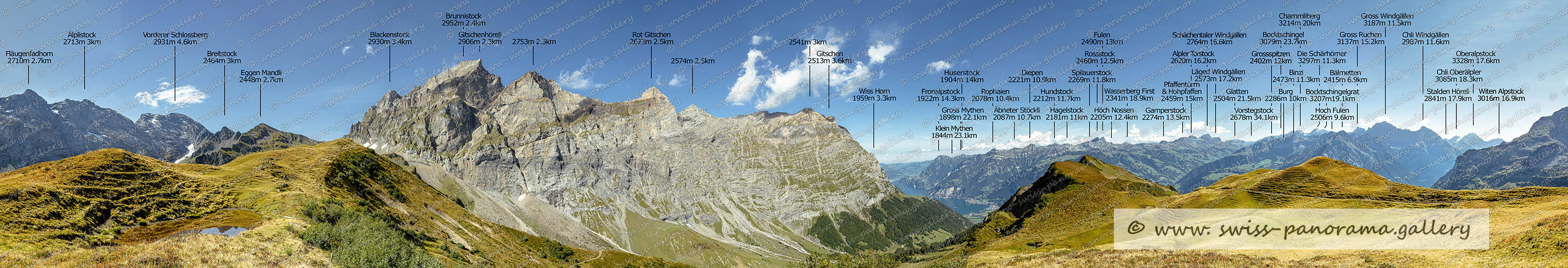 Alpenpanorama von der Alp Grat oberhalb Brüsti, Urner Alpen, swiss-panorama.gallery