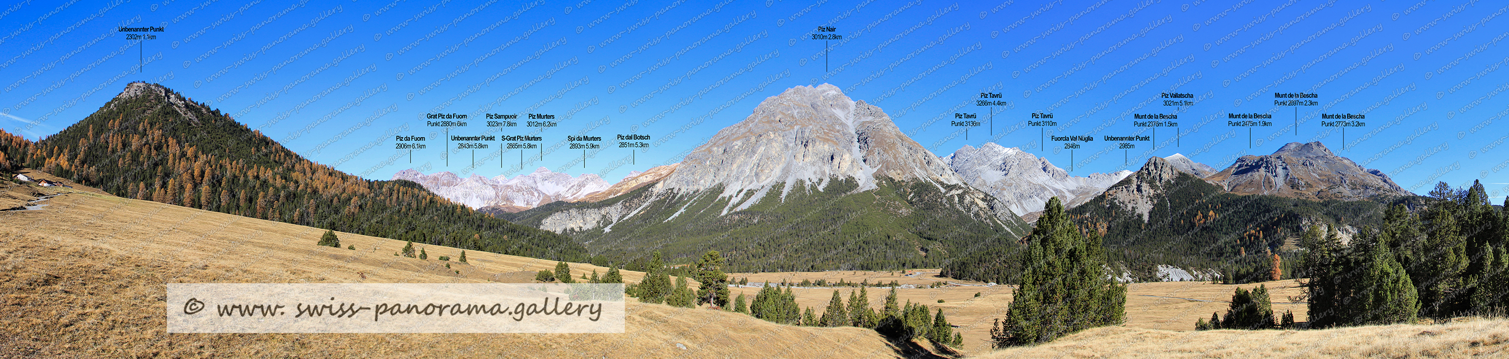 Switzerland Ofenpass Pass dal Fuorn panorama Buffalora Swisspanorama.gallery