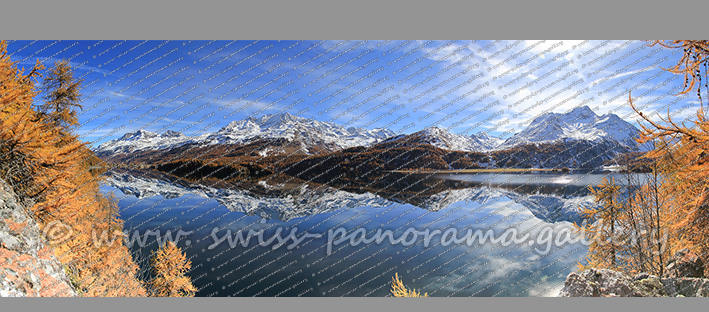 Oberengadin Silsersee Goldener Herbst Piz de la Margna Piz Surlej Poz Morteratsch Panorama Alpenpanorama