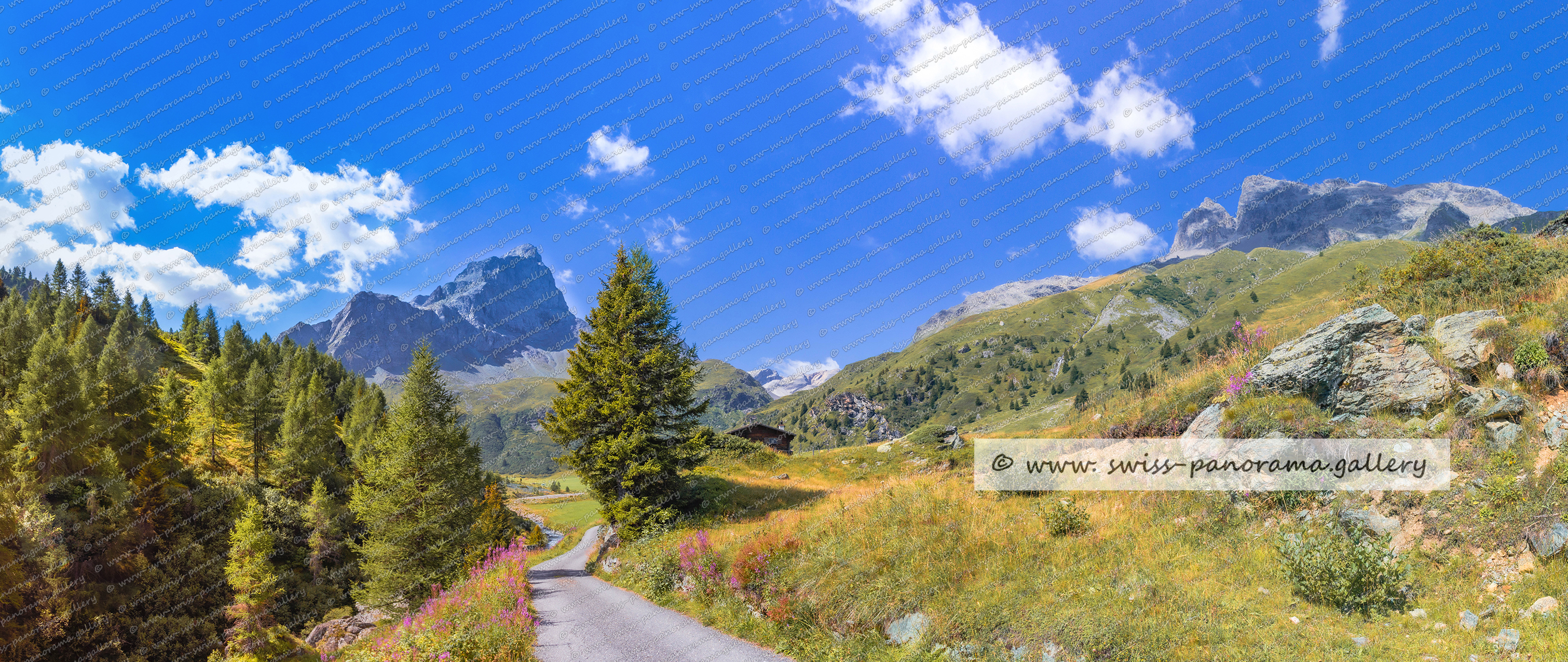 Val Faller Piz Plate und Piz Forbesche, Schweizer Alpenpanorama, swiss panorama.gallery