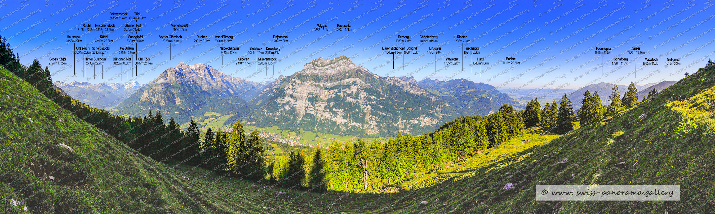 Fronalp panorama