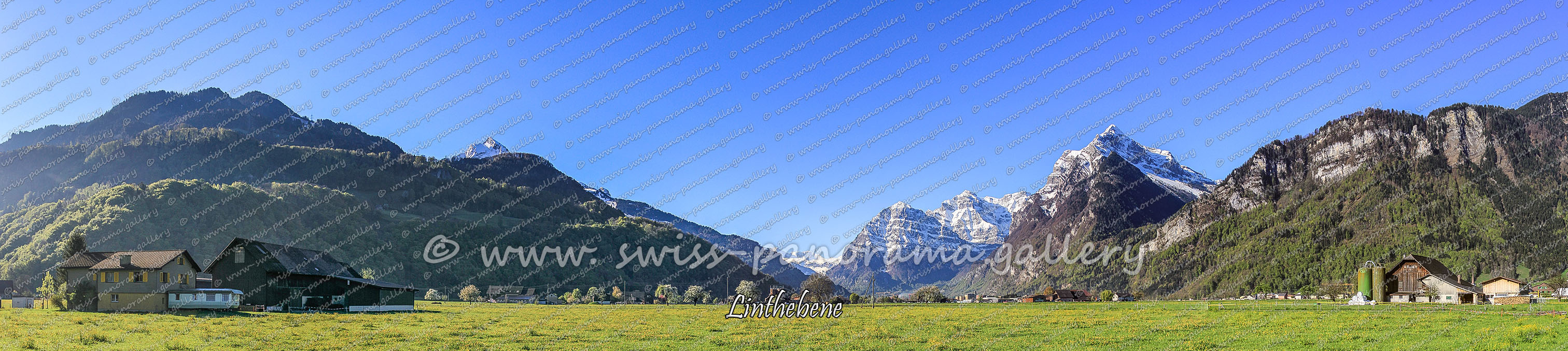 Switzerland panorama Niederurnen