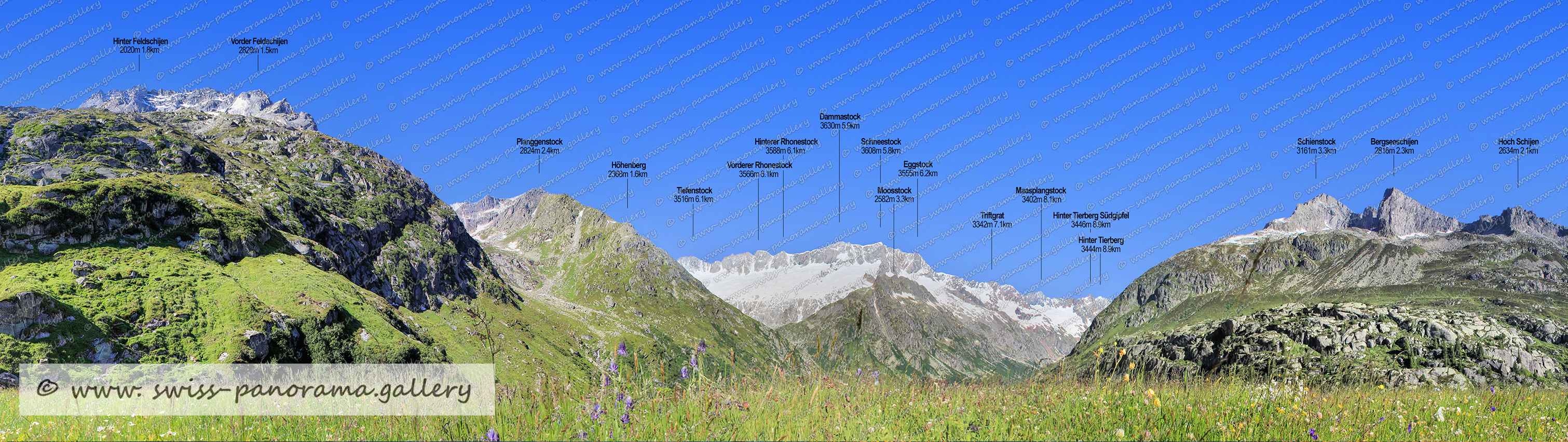 Göschener Alp panorama