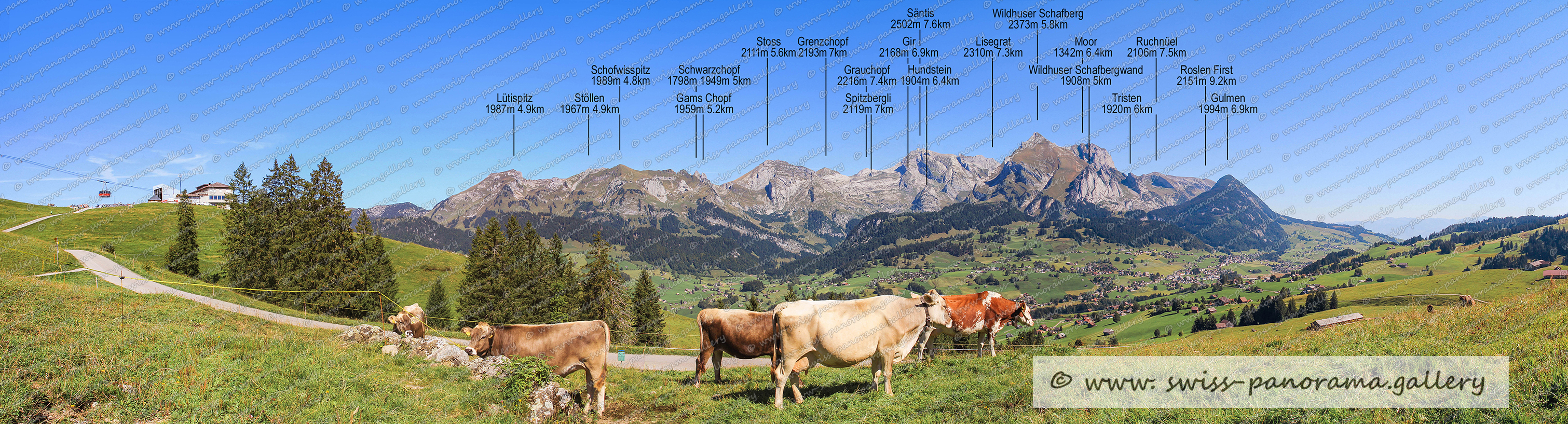 Iltios panorama Alpstein, Iltios, Bergpanorama, Schwarzchopf 1798m 1949m 5km, Schofwisspitz 1989m 4.8km, Lütispitz 1987m 4.9km, Stöllen 1967m 4.9km, Stoss 2111m 5.6km, Grenzchopf 2193m 7km, Grauchopf 2216m 7.4km, Säntis 2502m 7.6km, Gir 2168m 6.9km, Wildhuser Schafberg 2373m 5.8km, Moor 1342m 6.4km , Wildhuser Schafbergwand 1908m 5km, Gulmen 1994m 6.9km, Ruchnüel 2106m 7.5km, Roslen First 2151m 9.2km1, Tristen 1920m 6km, Lisegrat 2310m 7.3km, Hundstein 1904m 6.4km, Spitzbergli 2119m 7km, Gamschopf 1959m 5.2km, Swiss mountain panorama, swiss-panoraama.gallery 