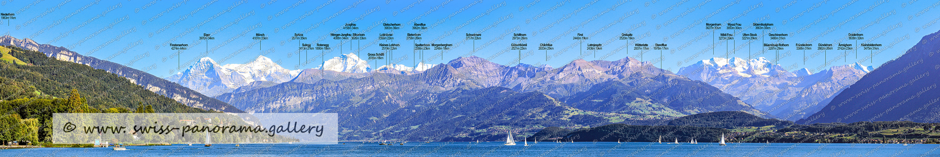 Swiss Panorama Berner Alpen panorama Thunersee, Bernese Alps panoramic view lake Thun