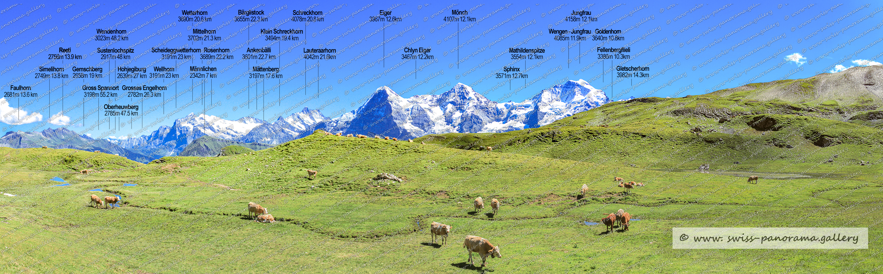 swiss panorama gallery Bergpanorama Berner Alpen panorama Sousegg Oberes Sulsseewly Sulwald