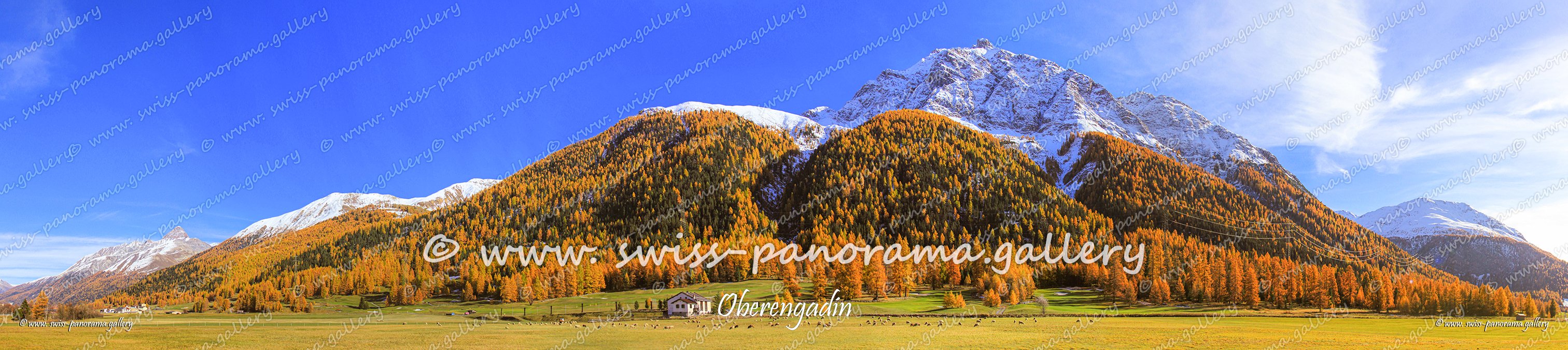 Panorama Oberengadin 
Oberengadin Panorama, Madulein panorama, Piz Mezzaun 2'963 m (2.5 km), Spih d'Esan 2'823 m (8 km), Munt M üsella 2630m 4km, Piz Mezzaun 2'963 m (2.5 km), Piz Arpiglia 2'765 m (4 km), Piz Murtiröl 2'660 , Piz d'Esan 3'127 m (9 km),  Piz d'Esan 3'127 m (9 km)
