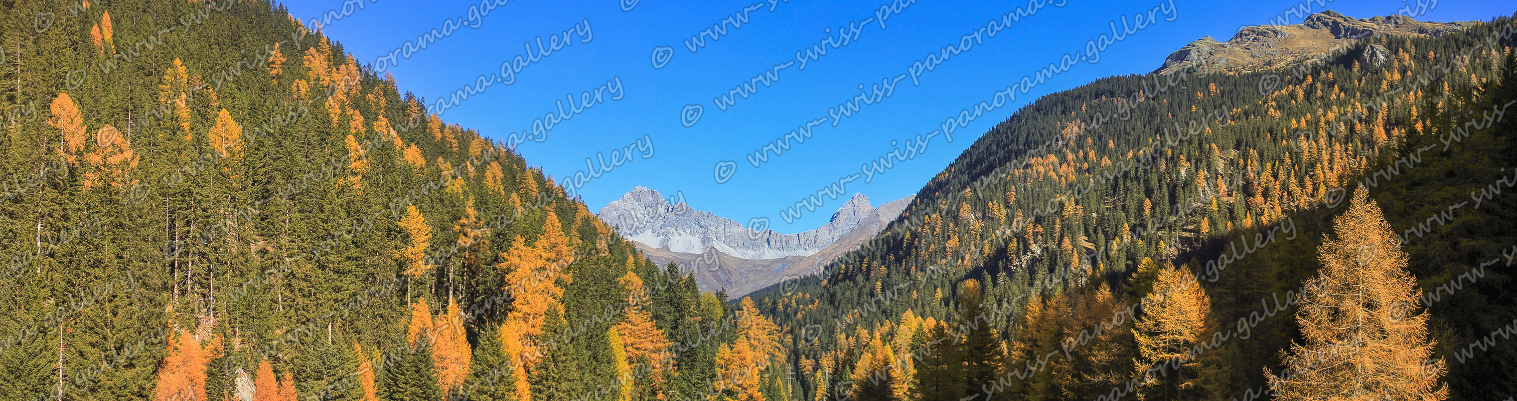 Swiss panorama Mulegns panorama Oberhalbstein, Val Surses, Swiss mountain panorama,  Mulegns,  Piz Mitgel (3'158 m), Corn da Tinizong (3'173 m).