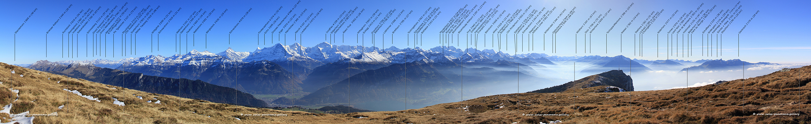 Swiss panoramic view Niederhorn Burgfeldstand Bernese Alps