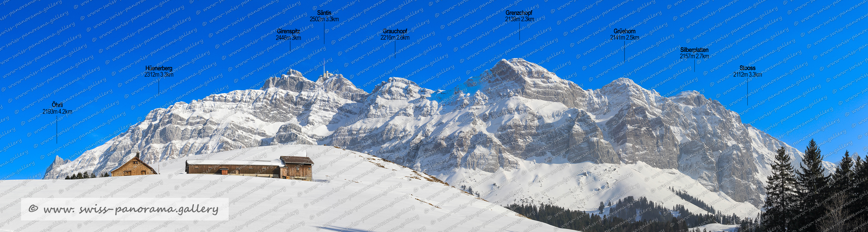 Schweizer Alpenpanorama, Schwägalp, Alpstein, Stoss 2111m 3.6km, Grüenhorn (Alpstein) 2141 m 2.9km, Silberplatten 2158m 3.1km, Grenzchopf 2193m 2.8km, Grauchopf 2216m 3.1km, Säntis 2502m 3.9km, Girenspitz 2448m 3.6km, Hünerberg 2312m 3.9km, Öhrli 2194m 4.8km swiss-panorama.gallery