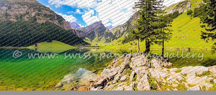 Seeapsee Appenzell Alpenpanorama