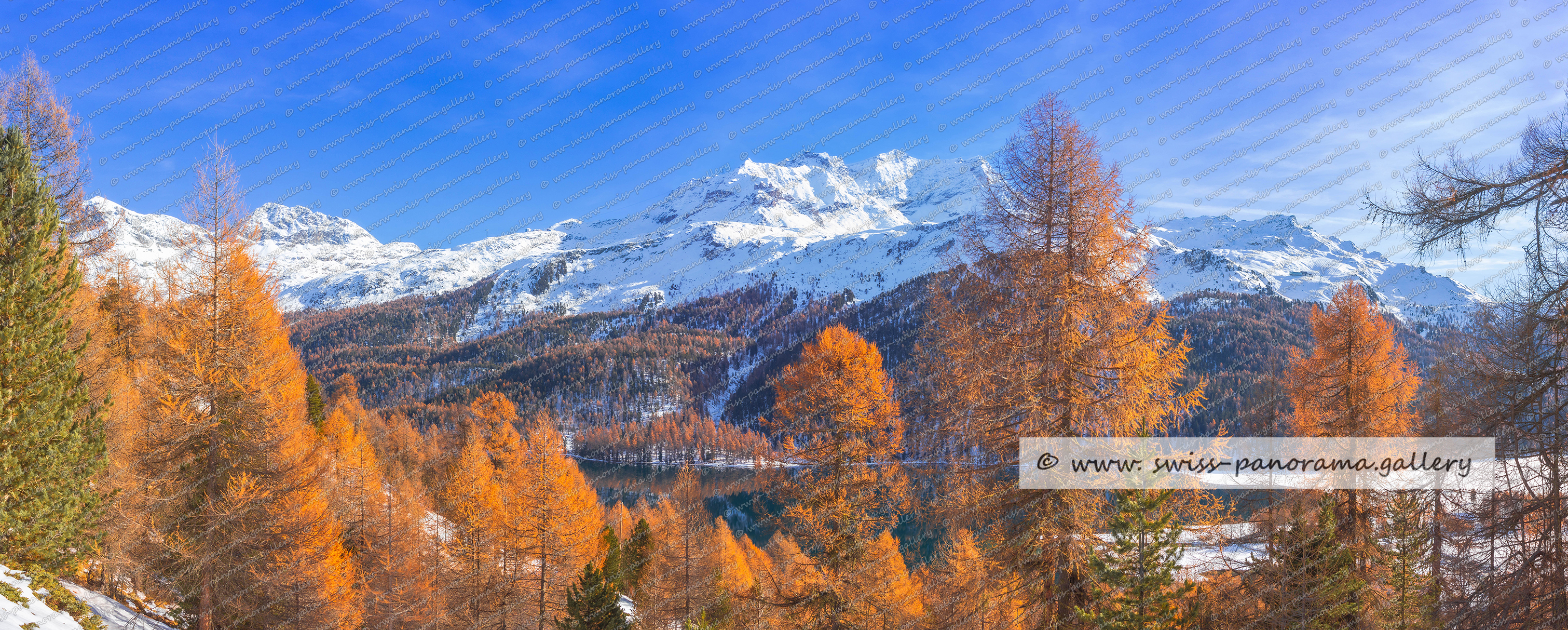 swiss panorama gallery Lake Silvaplana panorama, Piz Salacina 2'599 m (9 km), Piz Fedoz 3'190 m (9 km), Piz de la Margna 3'159 m Goldener Herbst im Oberengadin