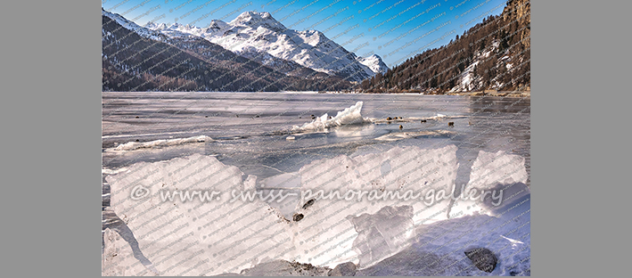 Silvaplanersee Altocumulus Wolken Reflektion Alpen Panorama Oberengadin