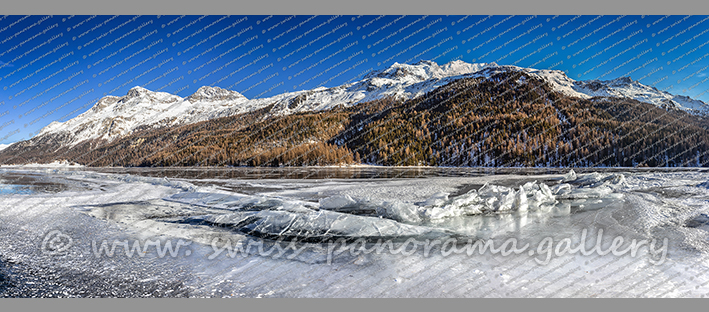 Schwarzeis Silvaplanersee Alpen Panorama Silvaplana Schweizer Alpenpanorama