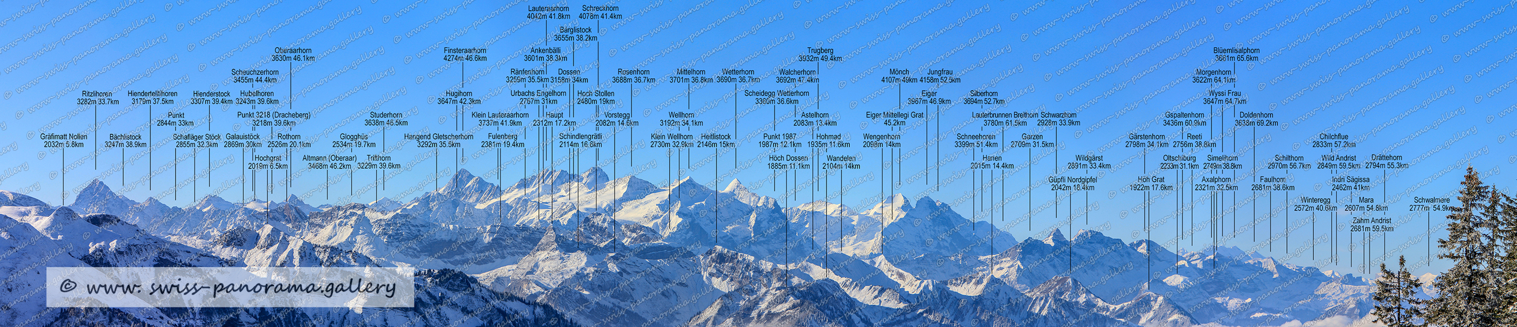 swiss panorama gallery Swiss Panorama Stanserhorn panoramic view, swiss-panorama.gallery, Schweizer Alpenpanorama vom Stanserhorn,  Punkt 3218m (Dracheberg), Oberaarhorn 3630m 46.1km, Scheuchzerhorn 3455m 44.4km, Hubelhoren 3243m 39.6km, Rothorn 2526m 20.1km, Lauteraarhorn 4042m 41.8km, Schreckhorn 4078m 41.4km, Bärglistock 3655m 38.2km, Ankenbälli 3601m 38.3km, Finsteraarhorn 4274m 46.6km, Ränfenhorn 3259m 35.5km, Dossen 3158m 34km, Urbaxhs Engelhorn 2767m 31km, Hoch Stollen 2480m 19km, Schindlengrätli 2114m 16.6km, Rosenhorn 3688m 36.7km, Wetterhor 3690m 36.7km, Mittelhorn 3701m 36.8km, Wellhorn 3192m 34.1km, Klein Wellhorn 2730m 32.9km, Astelhorn 2083m 13.4km, Trugberg 3932m 49.4km, Walcherhorn 3692m 47.4km, Scheidegg Wetterhorn 3360m 36.6km, Hohmad 1935m 11.6km, Winteregg 2572m 40.6km, Drättehorn 2794m 55.3km, Chilchflue 2833m 57.2km, Wild Andrist 2849m 59.5km, Indri Sägissa 2462m 41km, Mara 2607m 54.8km, Schwalmere 2777m  54.9km, Zahm Andrist 2681m 59.5km, Schilthorn 2970m 56.7km, Faulhorn 2681m 38.6km, Axalphorn 2321m 32.5km, Blüemlisalphorn 3661m 65.6km, Morgenhorn 3622m 64.1km, Wyssi Frau 3647m 64.7km, Gspaltenhorn 3436m 60.9km, Reeti 2756m 38.8km, Doldenhorn 3638m 69.2km, Simelihorn 2749m 38.8km, Gärstenhorn 2798m 34.1km, Oltschiburg 2233m 31.1km, Höh Grat 1922m 17.6km, Wildgärst 2891m 33.4km, Güpfli Nordgipfel 2042m 18.4km, Silberhorn 3694m 52.7km, Lauterbrunnen Breithorn 3780m 61.5km, Schwarzhorn 2928m 33.9km, Garzen 2709m 31.5km, Eiger Mittellegi Grat 45.2km, Jungfrau 4158m 52.5km, Mönch 4107m 49km, Eiger 3967m 46.9km, Schneehoren 3399m 51.4km, Hanen 2015m 14.4km, Wengenhorn 2098m 14km, Wandelen 2104m 14km, Höch Dossen 1885m 11.1km, Heitlistock 2146m 15km, Vorstegg 2082m 14.6km, Haupt 2312m 17.2km, Hangend Gletscherhorn 3292m 35.5km, Hugihorn 3647m 42.3km, Klein Lauteraarhorn 3737m 41.9km, Fulenberg 2381m 19.4km, Studerhorn 3638m 46.5km, Glogghüs 2534m 19.7km, Trifthorn 3229m 39.6km, Altmann 3468m 46.2km, Hochgrat 2019m 6.5km, Galauistöck 2869m 30km, Bächlistock 3247m 38.9km, Ritzlihoren 3282m 33.7km, Hienderstock 3307m 39.4km, Hiendertellenhoren 3179m 37.5km, Schafläger Stöck, Gräfimatt Nollen 2032m 5.8km
 
