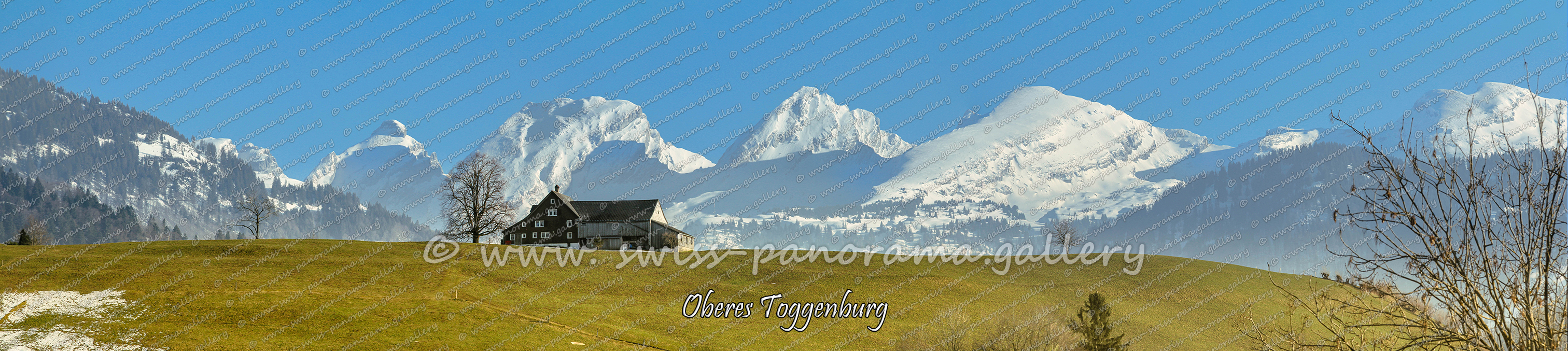 Churfirsten Alpen Panorama Toggenburg chweizer Alpen panorama; Neu St. Johann; swiss-panorama.gallery; Schären 2194m 10.1km; Wart 2068m 10.1km; Selun 2205m 10.1km; Brisi 2279m 10.9km; Brisi 2279m 10.9km; Zuestoll 2235m 11.1km; Schibenstoll 2236m 11.5km