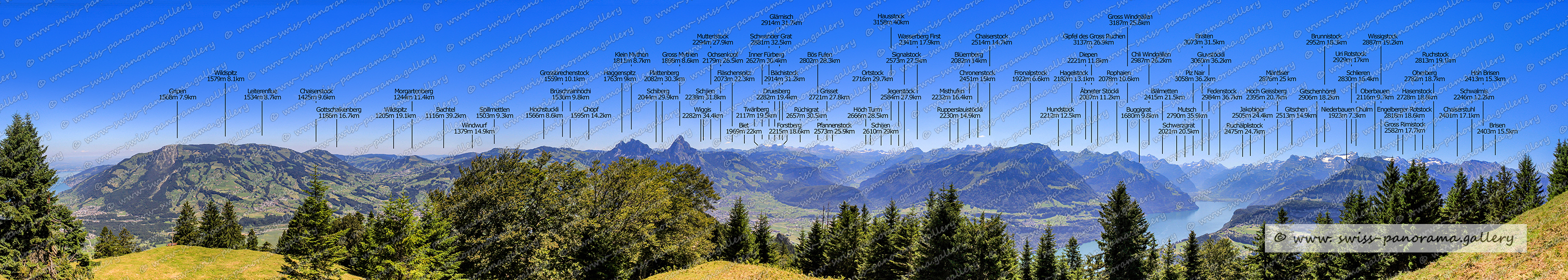 Schweizer Alpenpanorama Urmiberg Blick über den Vierwaldstättersee Switzerland panorama European Alps